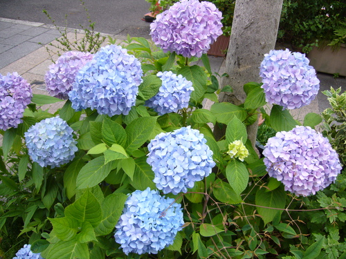 a0262342_2275517.jpg