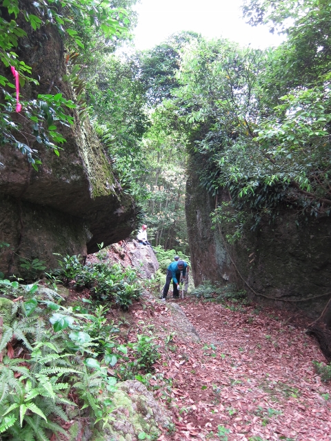 a0280142_20372786.jpg