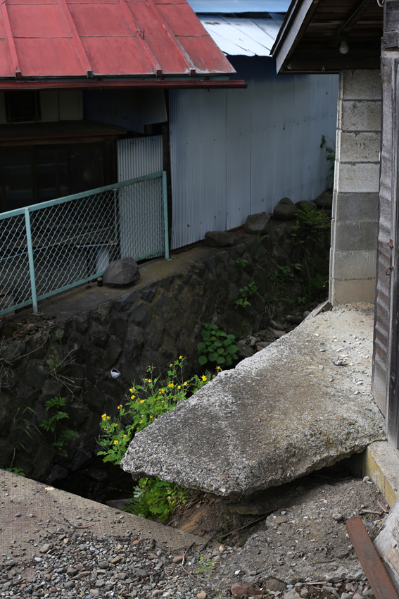 c0035245_2385887.jpg