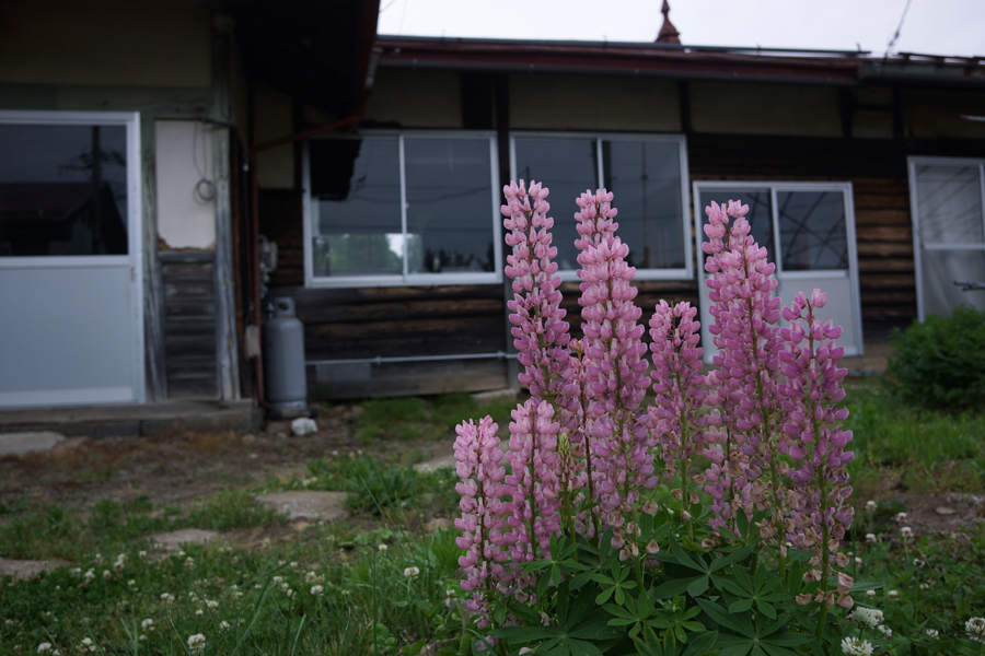 c0035245_3173316.jpg