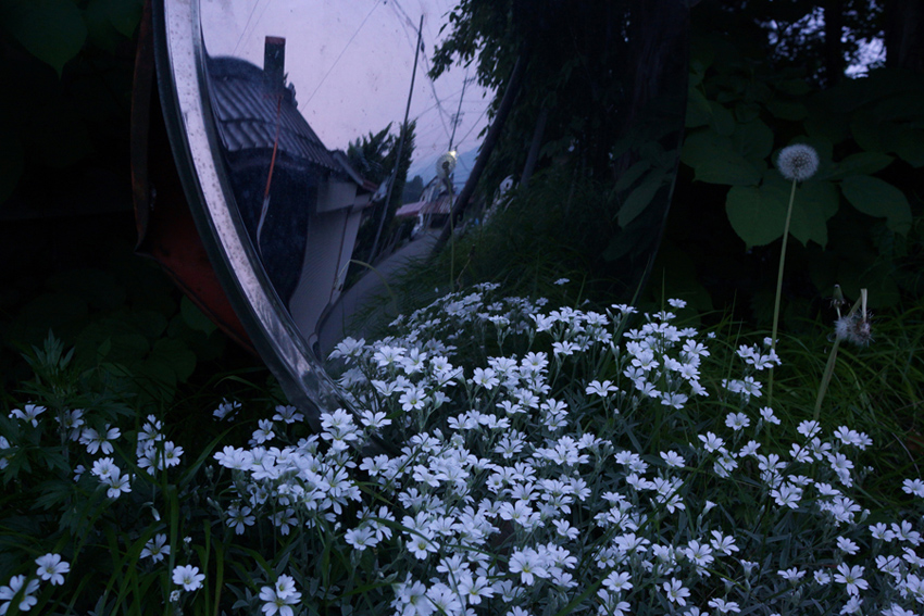 c0035245_3581710.jpg