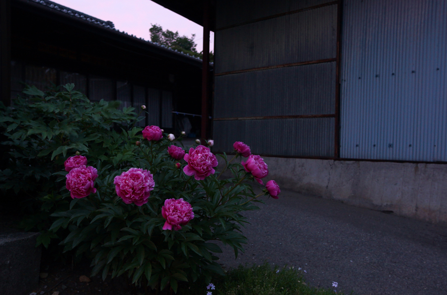 c0035245_434213.jpg