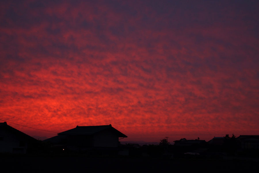 c0035245_453076.jpg