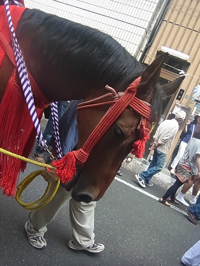 天気晴れ晴れ　鳥越祭り2013_d0063149_22405290.jpg