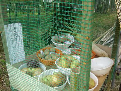 頼りになる隣人_f0045052_1614959.jpg