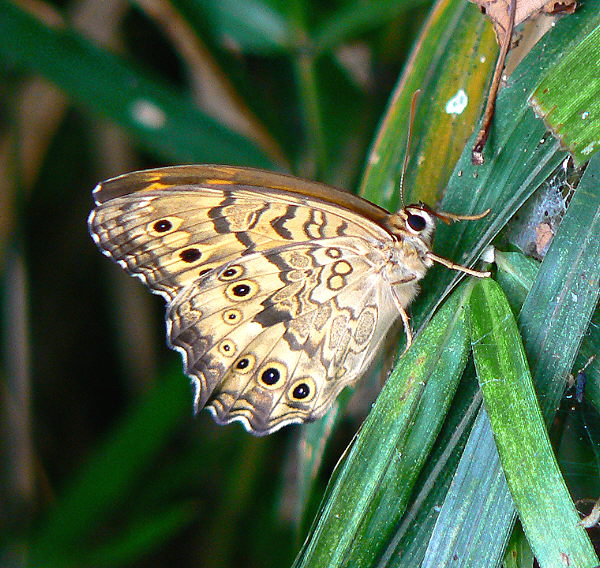 d0091754_05535.jpg