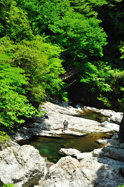 b0283455_204777.jpg