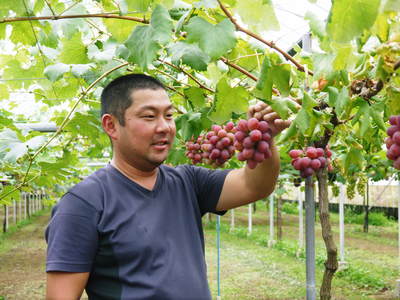 熊本ぶどう 社方園 摘粒・摘房作業_a0254656_16454886.jpg