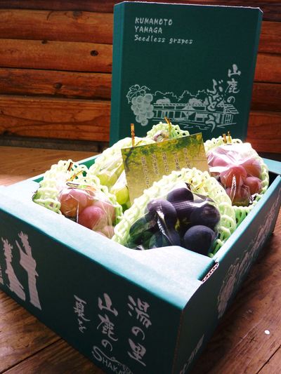熊本ぶどう 社方園 摘粒・摘房作業_a0254656_20231933.jpg