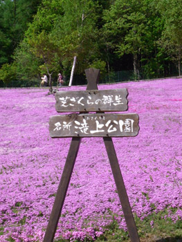 f0078756_2132411.jpg