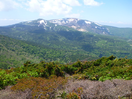 b0277159_18372890.jpg