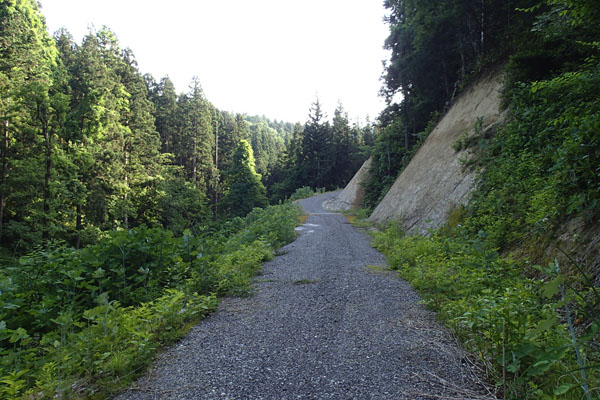 a0083760_18132178.jpg