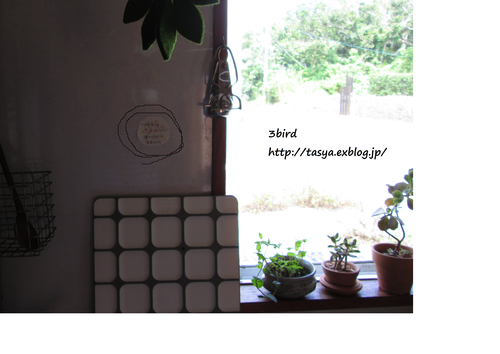 f0260263_1133593.png
