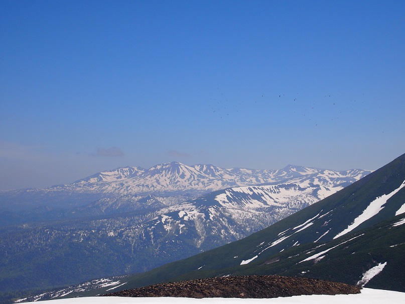 b0281366_1622264.jpg