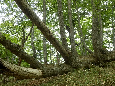 f0057070_22383038.jpg