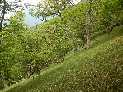 f0057070_22384279.jpg