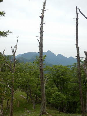 f0057070_2238558.jpg