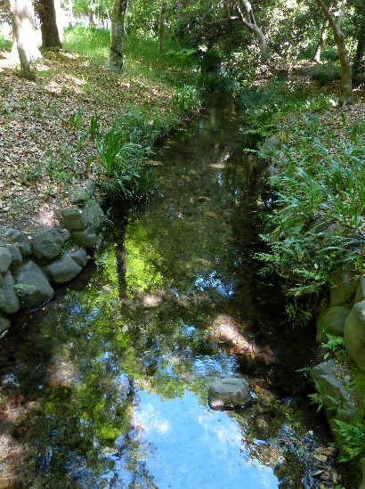 京都（十七）　下鴨神社の杜『糺の森』_d0084473_21135611.jpg