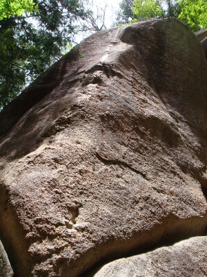 f0223480_12302023.jpg