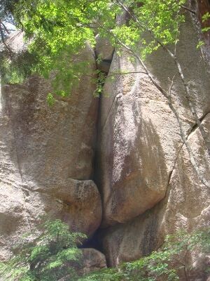 f0223480_1230494.jpg