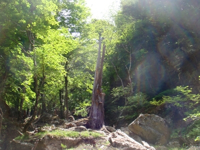 f0223480_12313436.jpg