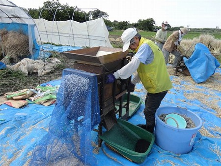 ナタネ脱穀開始　　2013.06.08（土）_c0145581_8104190.jpg