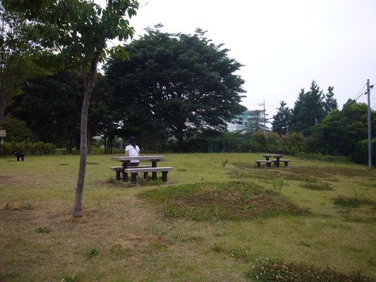 善福寺川流域緑地の青い空。　It Never Rains In Southern Tokyo Suginami－ku．_a0141884_20291911.jpg