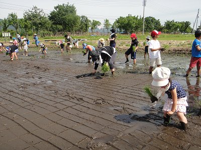 　親子田んぼ教室　　　　　毘沙門天十月会「新緑の会」_b0092684_15422260.jpg