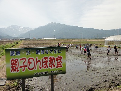 　親子田んぼ教室　　　　　毘沙門天十月会「新緑の会」_b0092684_1542259.jpg