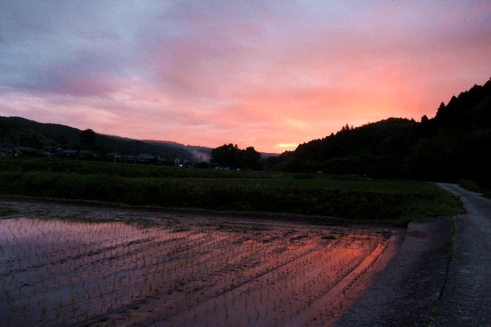 散歩道での夕焼け_b0171185_22555729.jpg