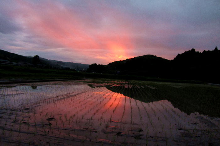 散歩道での夕焼け_b0171185_2301385.jpg