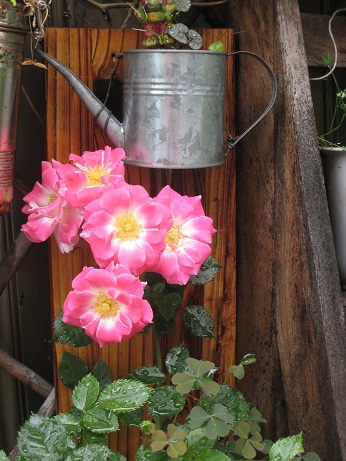 f0215785_18273211.jpg