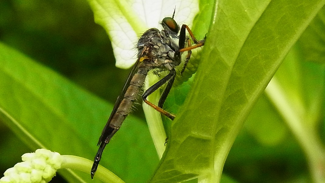 a0152692_18182476.jpg