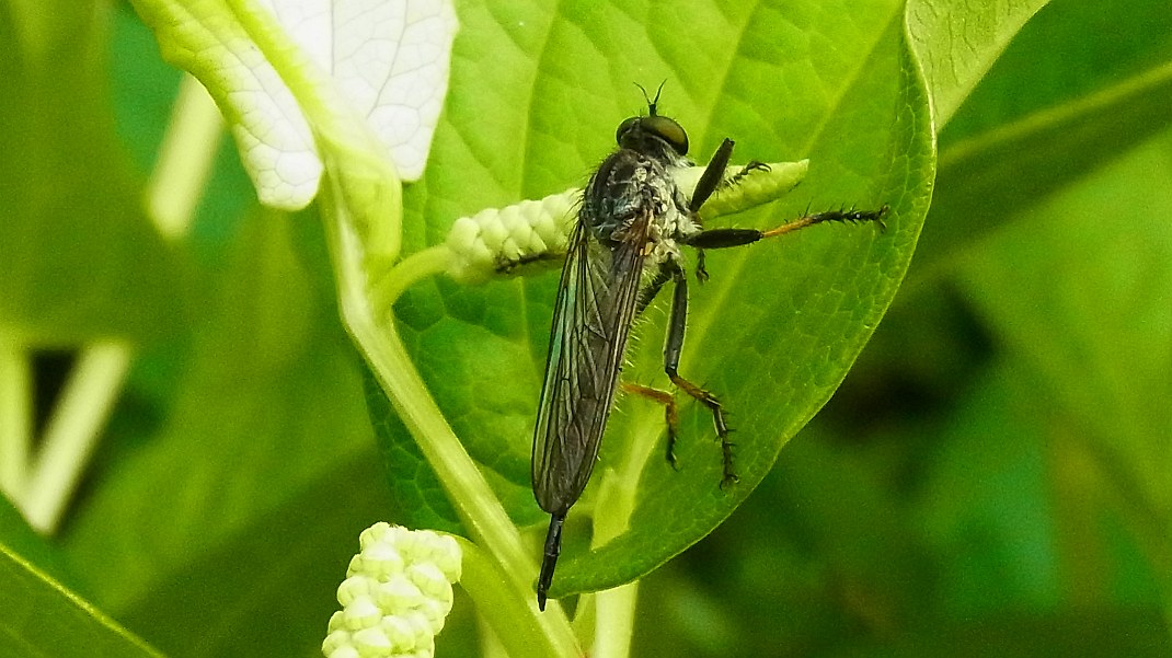a0152692_18184499.jpg