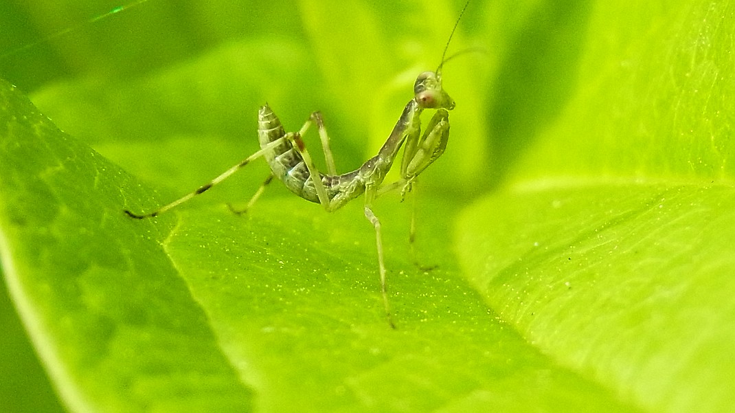 a0152692_18283640.jpg