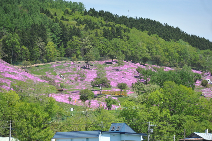 北海道旅行記　part6_a0049296_20232810.jpg