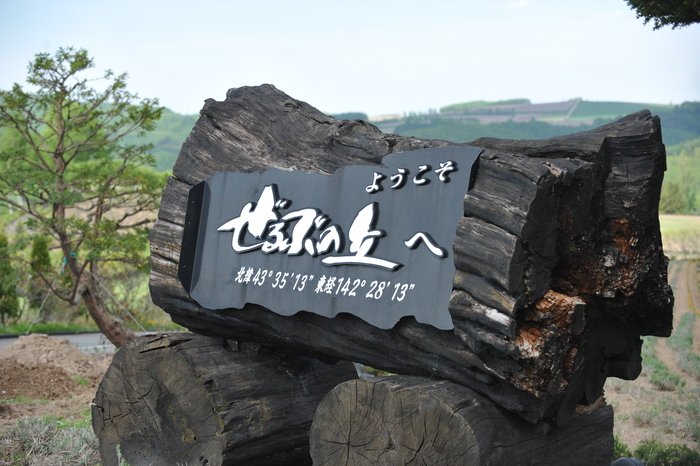 北海道旅行記　part6_a0049296_2025501.jpg