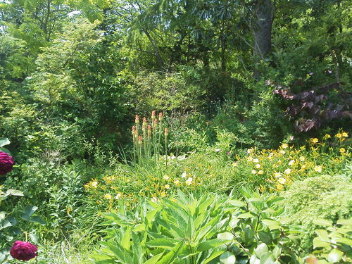 ガーデン植花夢(うえるかむ)へ_c0124100_18272777.jpg