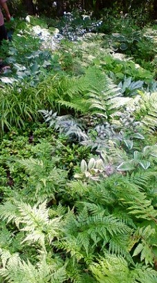 ガーデン植花夢(うえるかむ)へ_c0124100_18301459.jpg