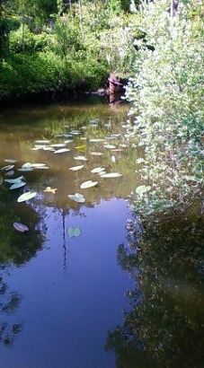 ガーデン植花夢(うえるかむ)へ_c0124100_18301846.jpg
