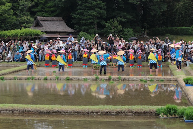 アートの直島と城下町・岡山をめぐる（後編）_c0306400_10524694.jpg