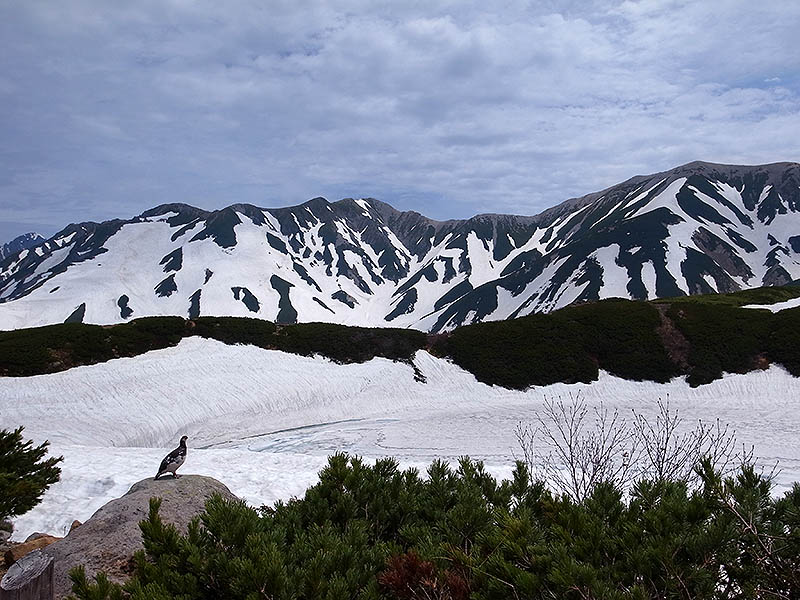 立山黒部アルペンルート_e0204700_21521646.jpg