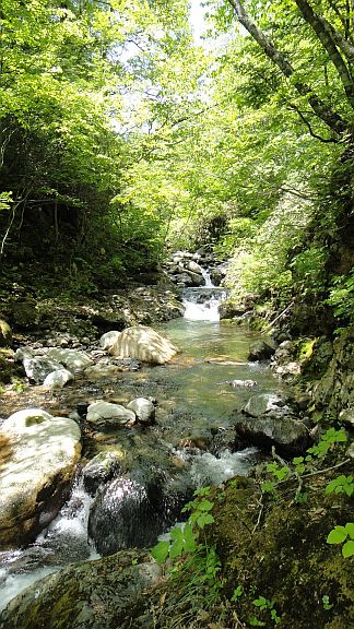 b0172805_214216.jpg