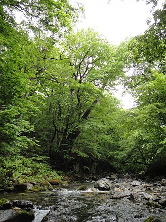 b0172805_25556.jpg