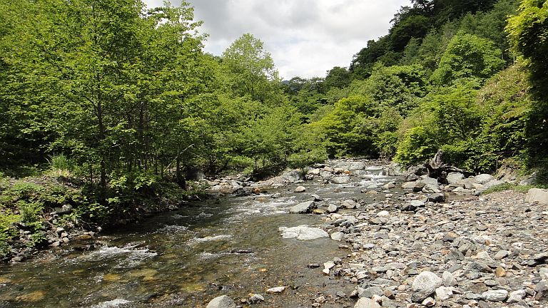 b0172805_265520.jpg