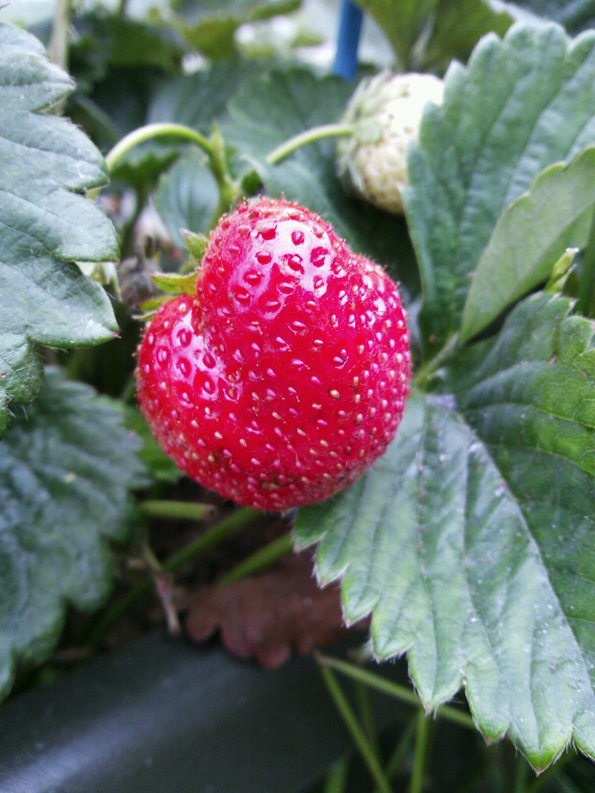 c0280206_9849.jpg