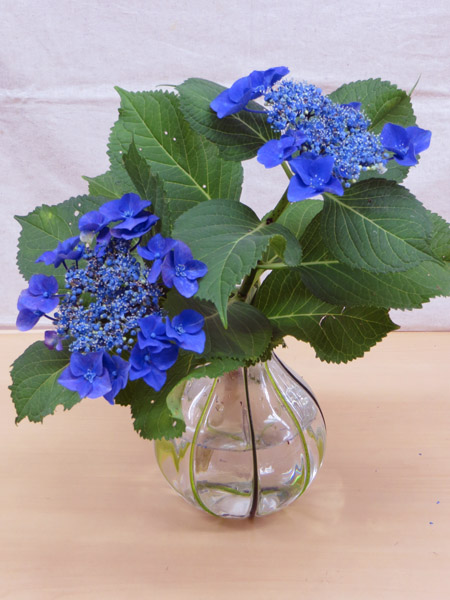 アトリエ蒼通信336 2013年6月11日(火) _b0129807_187812.jpg