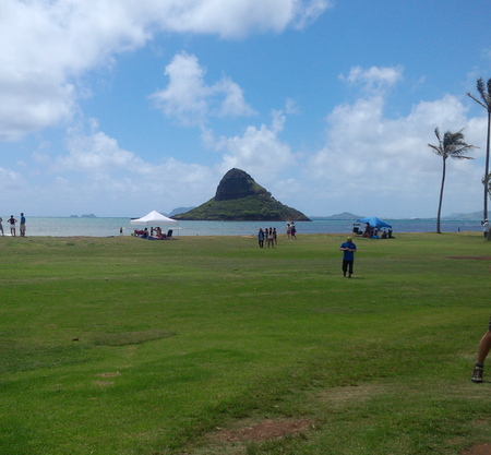 b0140908_16362.jpg