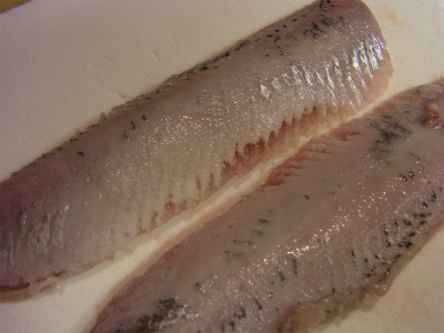 入梅イワシ!_f0157910_13574341.jpg