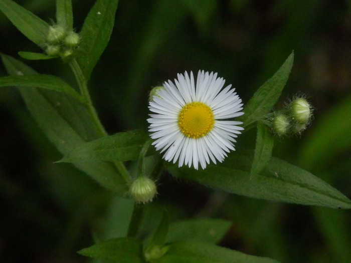 f0219710_6424772.jpg